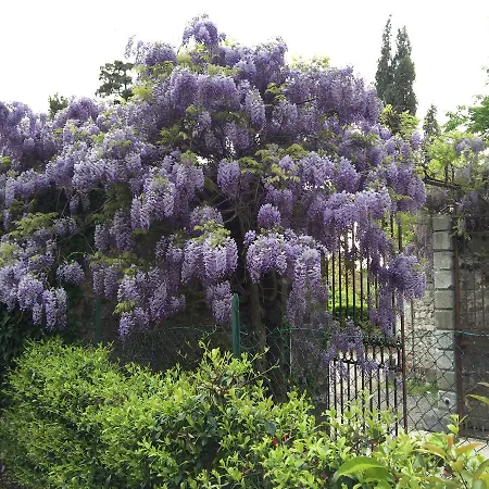 Casa Mausi * Udine